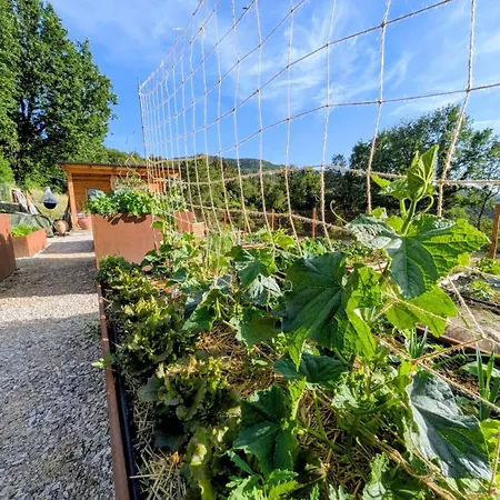 Relais Tosca Casa vacanze *